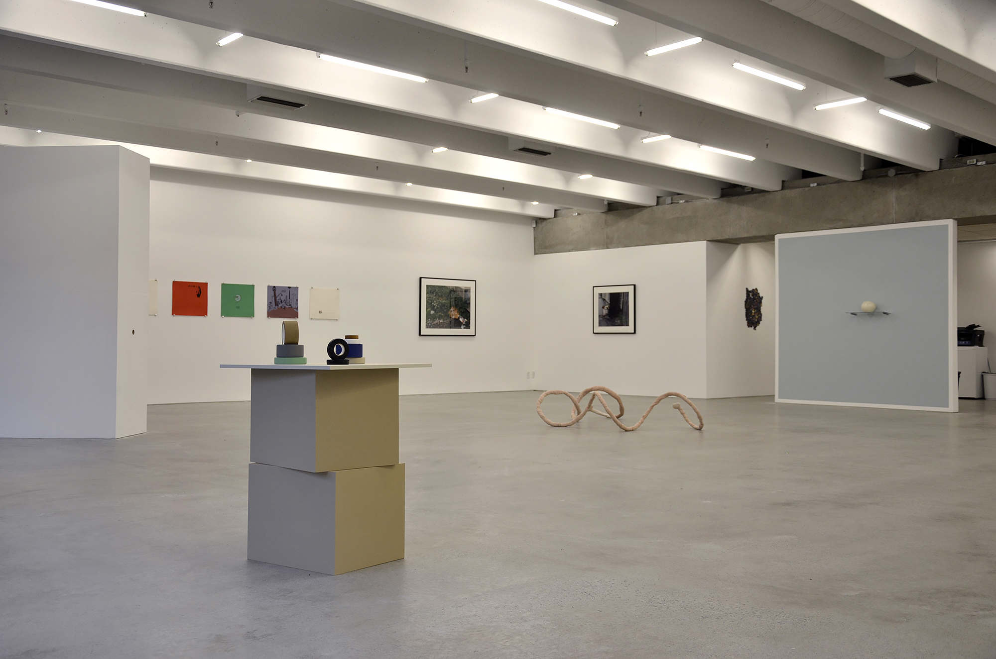 Idiot of Nature Exhibition